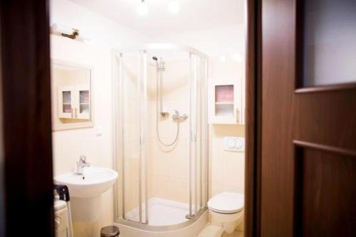 クラクフにある0ld town apartment Czystaのバスルーム(シャワー、トイレ、シンク付)