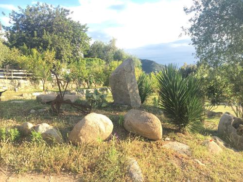 a group of rocks in a garden with trees at S'Imbragu Farm B&B in Tortolì