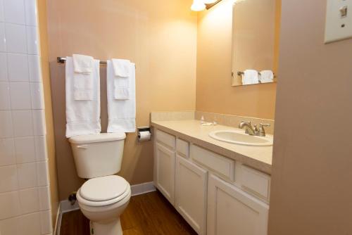 a bathroom with a toilet and a sink at Carter Caves State Resort Park in Olive Hill