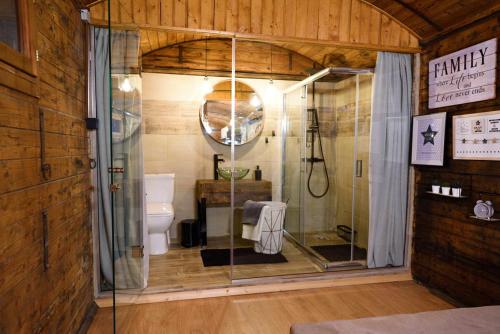 a bathroom with a shower and a toilet at Los vagones in Vatopedi