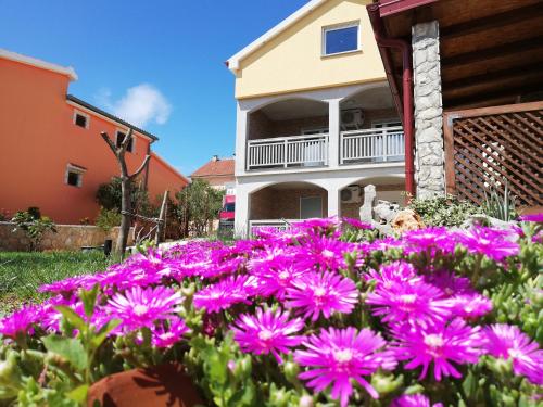 Taman di luar Apartmani Mala Sirena