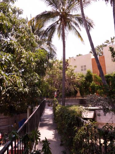 Gallery image of Hotel Posada Señor Mañana in San José del Cabo