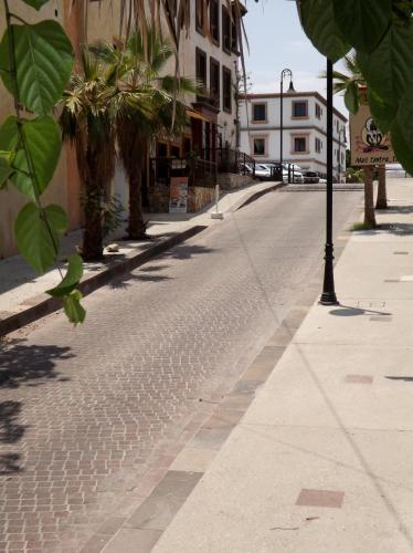 Gallery image of Hotel Posada Señor Mañana in San José del Cabo