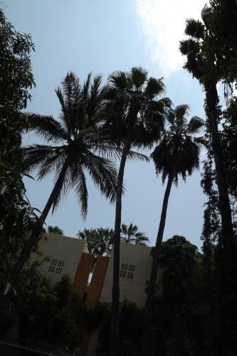 Gallery image of Hotel Posada Señor Mañana in San José del Cabo