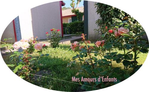 a garden with flowers in front of a building at Résidence Mes Amours d'Enfants - Les Villas du Lac in Soustons