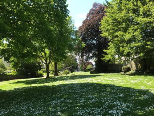 a field of grass with trees and flowers at Harbour Heights Guest House in Torquay