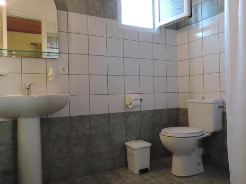 een badkamer met een toilet en een wastafel bij APARTMENTS PELI-MARIA in Agios Stefanos