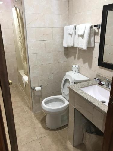a bathroom with a toilet and a sink at Blue Falls Motel in Tonawanda