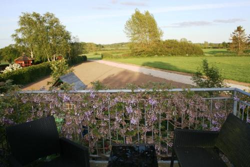 a garden with purple flowers on a fence at Guldbergs Guesthouse in Kerteminde