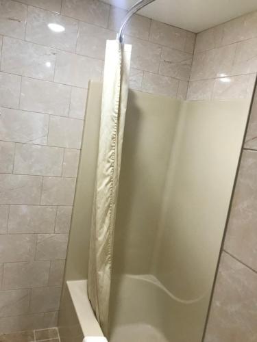 a shower with a glass door in a bathroom at Blue Falls Motel in Tonawanda