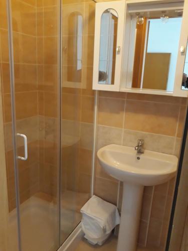 a bathroom with a shower and a sink at Affittacamere FloraMare in Marina di Bibbona