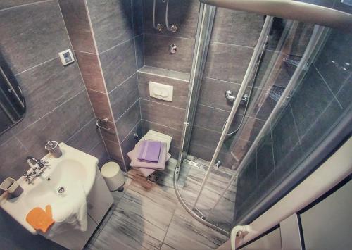 y baño con ducha, lavabo y aseo. en Apartments Villa PM, en Kotor
