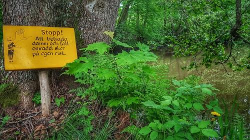 a yellow sign sitting next to a tree at Lundsbrunn B&B in Lundsbrunn