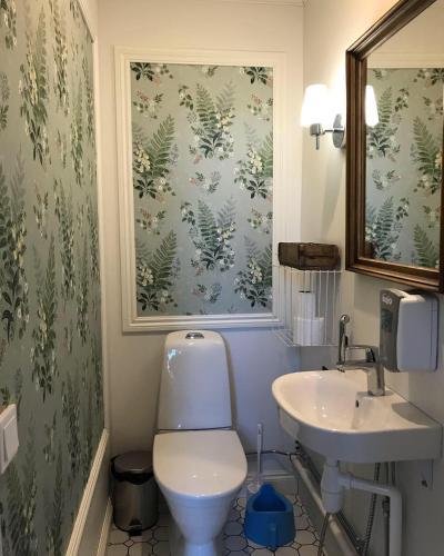 a bathroom with a toilet and a sink at Vanha pappila Hetki Oy in Ähtäri