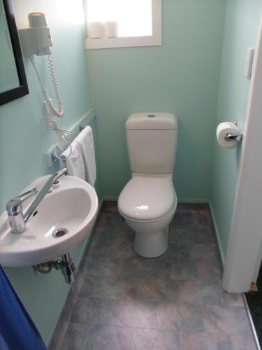 a bathroom with a toilet and a sink at Essex Arms in Huntly