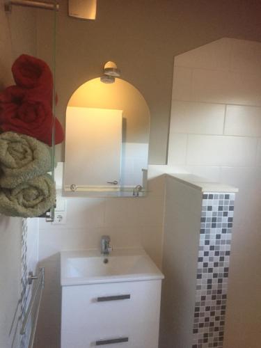 een badkamer met een wastafel en een spiegel bij Kranichnest in Rheinsberg