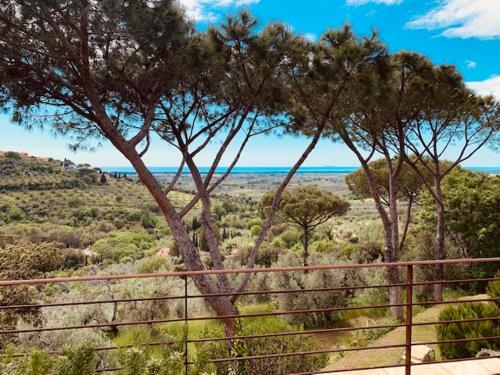 Podere Il Castellaccio – Photos 4
