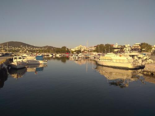 a group of boats are docked in a harbor at DREAM & HARMONY in Artemida