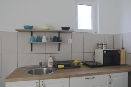 a kitchen counter with a sink and a microwave at Apartment Mihajlovic in Vranje