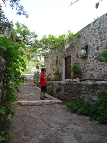 Gambar di galeri bagi Nikos House di Zákros