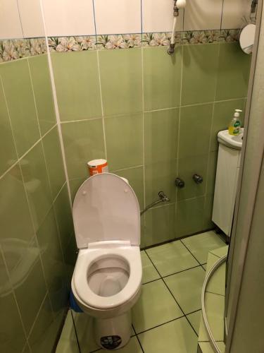 a small bathroom with a toilet and a shower at На Двоїх in Slavske