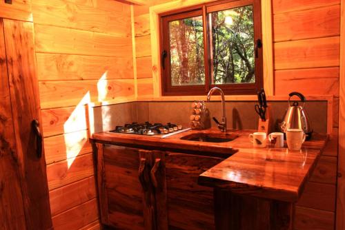 Fotografie z fotogalerie ubytování Cabañas Bosque Milenario v destinaci Coñaripe