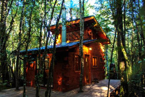a small log cabin in the middle of a forest at Cabañas Bosque Milenario in Coñaripe