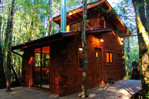 a small log cabin in the middle of the woods at Cabañas Bosque Milenario in Coñaripe