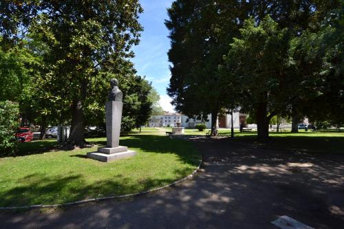 a statue in the middle of a park with trees at Chicco Small Business by Cinelli Apartment in Vercelli