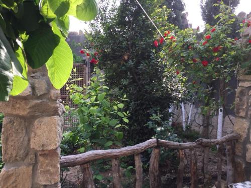 a wooden fence in a garden with red roses at Luxury Villa with pool and waterfall in Bina