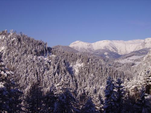 a mountain covered in snow with trees and mountains at Villa Daheim Semmering in Semmering