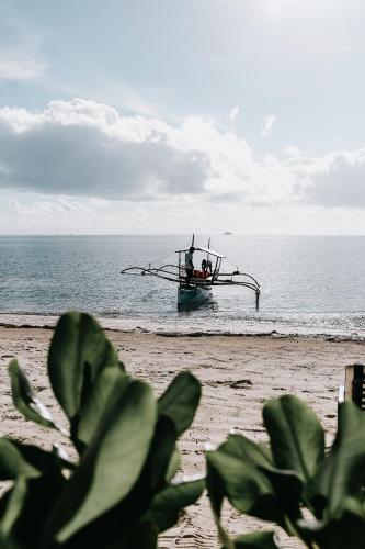 Landskap semula jadi dekat dengan resort