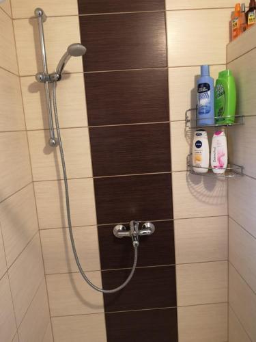 a bathroom with a shower with a shower head at Villa Meli in Visoko