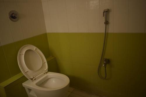 a green and white bathroom with a toilet and a shower at All Is Well in Hampi