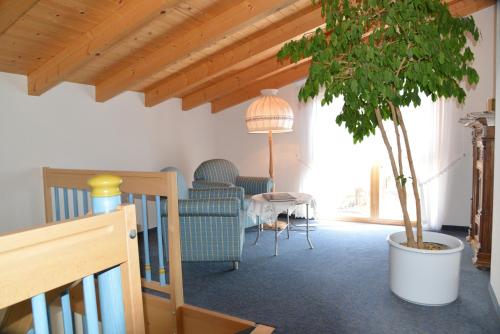 a living room with a potted tree and a chair at Landhaus Waldfrieden in Tengen
