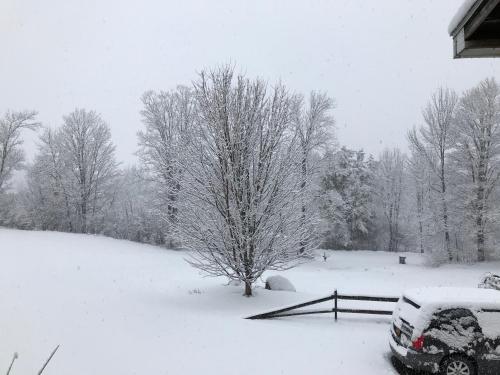 a snow covered yard with a fence and trees at Coolis Apartment in Richfield Springs