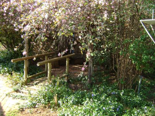 a garden with a wooden fence and flowers at Rosewood Corner, Clarens in Clarens