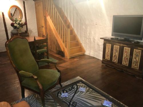 a living room with a television and a green chair at Mas Graffouil in Prats-de-Mollo-la-Preste