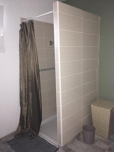 a shower with a shower curtain in a bathroom at Gîte de la Grenouille in La Cambe