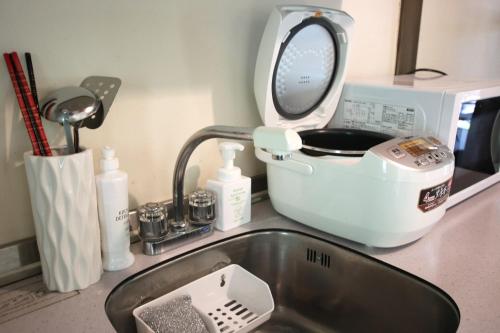 a kitchen sink with a hair dryer and a mixer at House-Uma Kensyukan -SEVEN Hotels and Resorts- in Onna