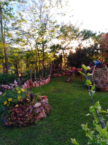 a garden with a bunch of flowers and trees at Agriturismo le colline di Capalbio in Capalbio