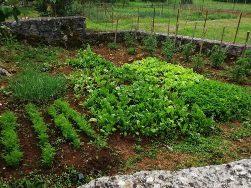 Un jardín fuera de Rustic village