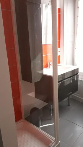 a bathroom with a shower with a sink and a mirror at Tiguil in Le Guilvinec