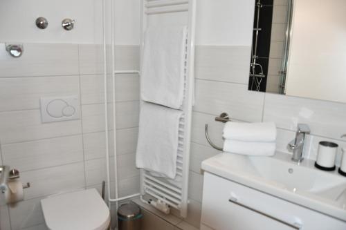 une salle de bain avec toilettes, lavabo et miroir dans l'établissement Vicky´s Ferienwohnung, à Flensbourg