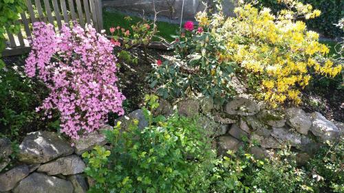 a garden with colorful flowers and a stone wall at Apartment Regina in Burgberg