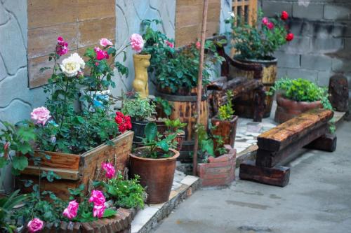 a group of potted plants and flowers in pots at Galavani in Tbilisi City