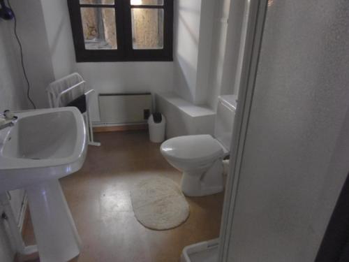 a bathroom with a white toilet and a sink at Le trou dans le mur in Uzerche
