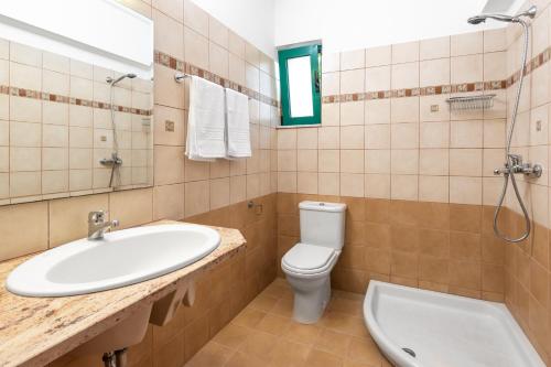 a bathroom with a sink and a toilet and a mirror at Anemos Villa in Sálakos