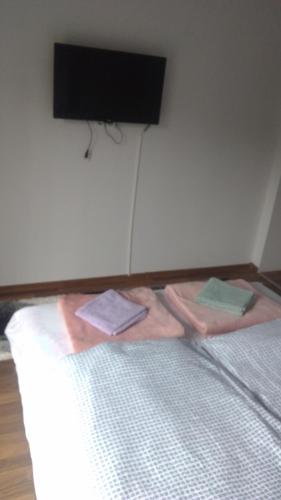 Katil atau katil-katil dalam bilik di Apartmani Lana
