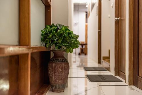 a brown vase with a plant in a hallway at U Chiangkhan in Chiang Khan